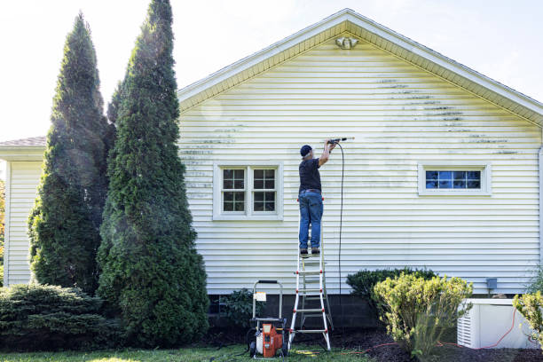 Best Gutter Cleaning  in Elmsford, NY